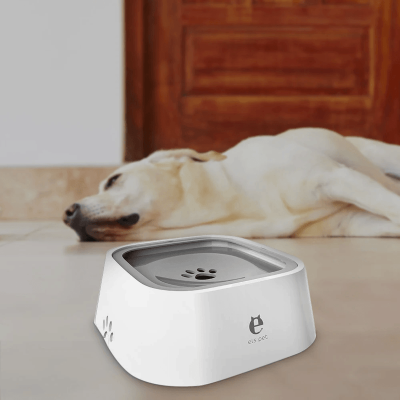 Tigela de água anti salpicos para cães e gatos, bebedouro de grande capacidade de água 